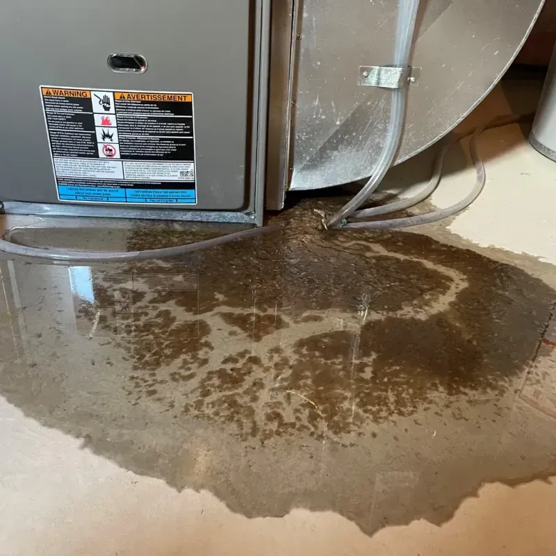 Appliance Leak Cleanup in New City, IL